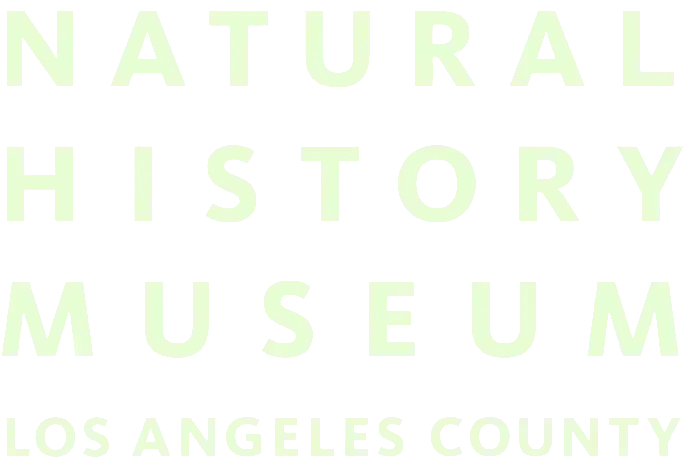Natural History Museum of Los Angeles County