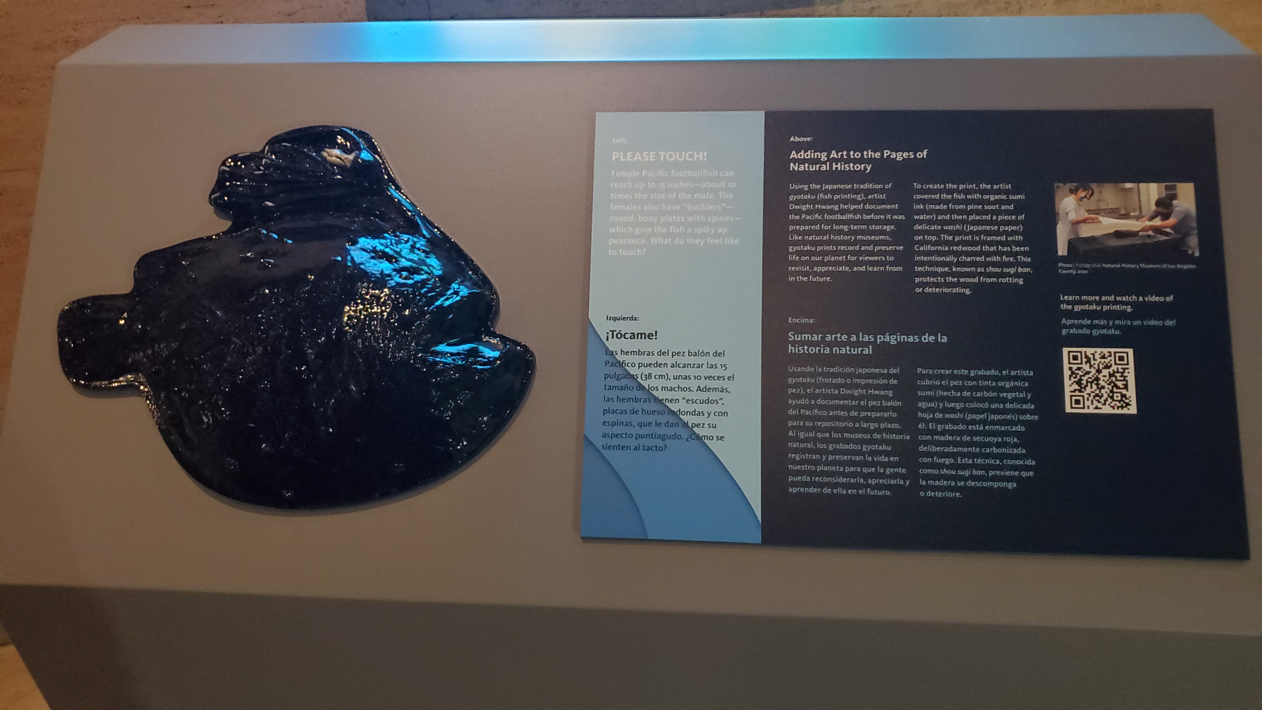 Visitor touching 3D printed tactile model embedded in signage